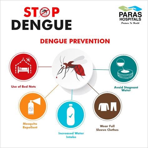 dengue clean up day sanhi at bunga|Dengue Fever Symptoms and Prevention .